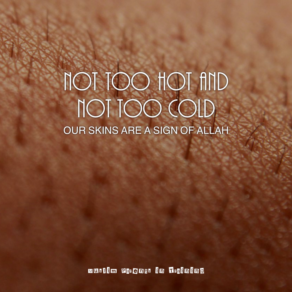 Not too hot and not too cold