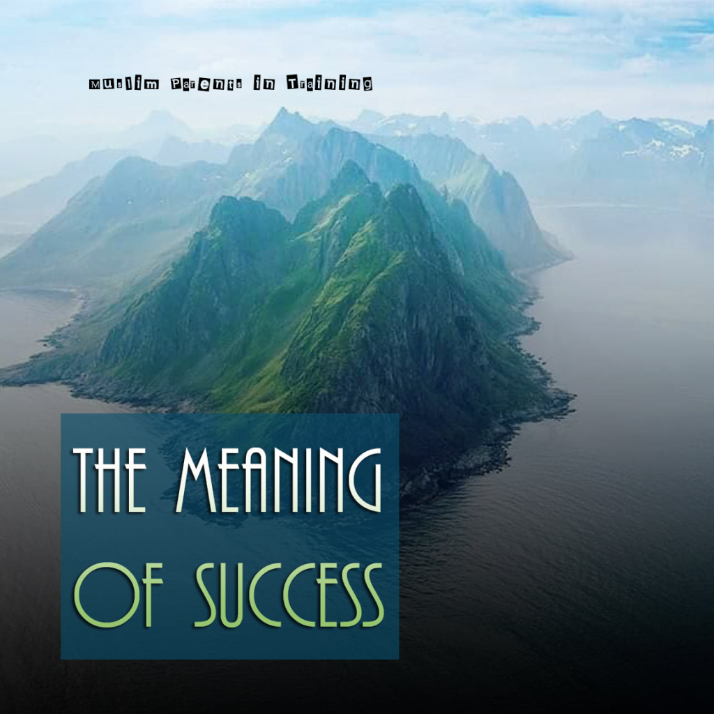 The meaning of success